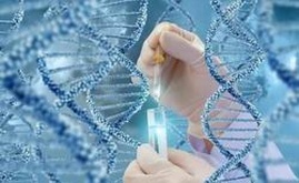 试管婴儿移植后11天孕酮水平超过60ng／ml是否表示已怀孕