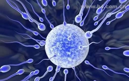 自己去泰国做试管婴儿价格贵吗？泰国试管花费明细表公开