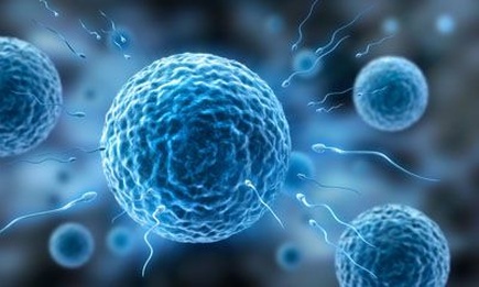 48岁进行三代试管婴儿治疗有成功的可能性吗？