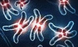 2025年上海第三代试管多少钱？三代试管费用明细是怎么样的