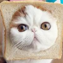 河南省助孕_河南洛阳正规助孕机构_洛阳市试管助孕医院