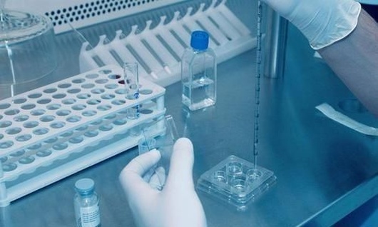 2026石家庄市试管助孕成功率最新排名前五，快看看这份机构名