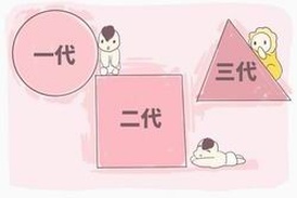 女性未婚也可选择试管婴儿，独立生育权的新篇章